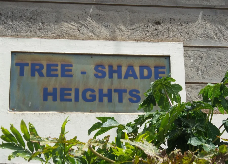 Tree Shade Heights Apartments on Kirichwa Road - property view 06