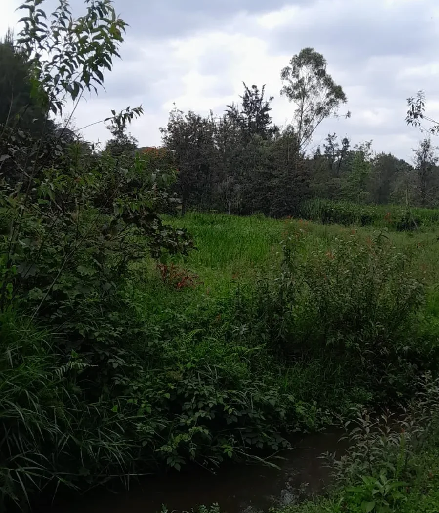 Muteero Ridge, Karen property image 01